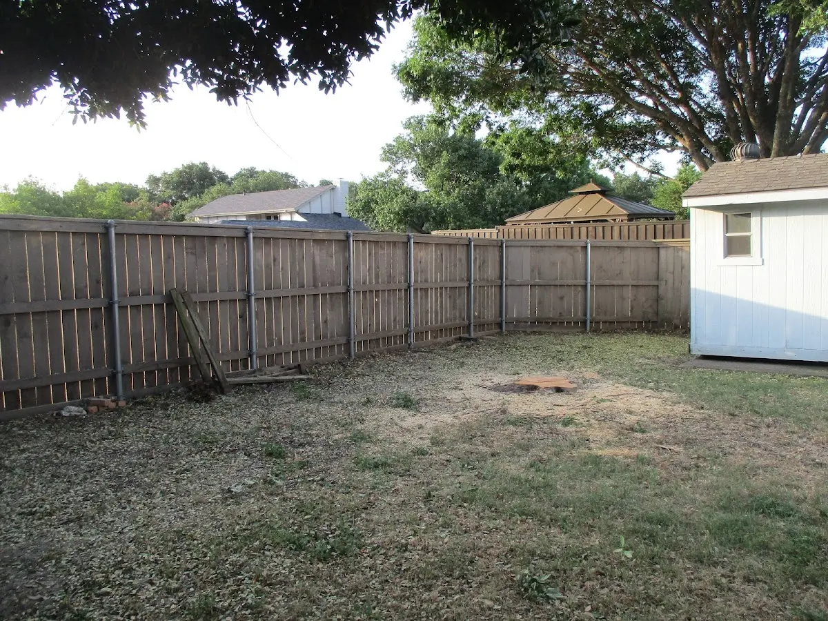Cleared yard after professional tree removal in Lake Pleasant