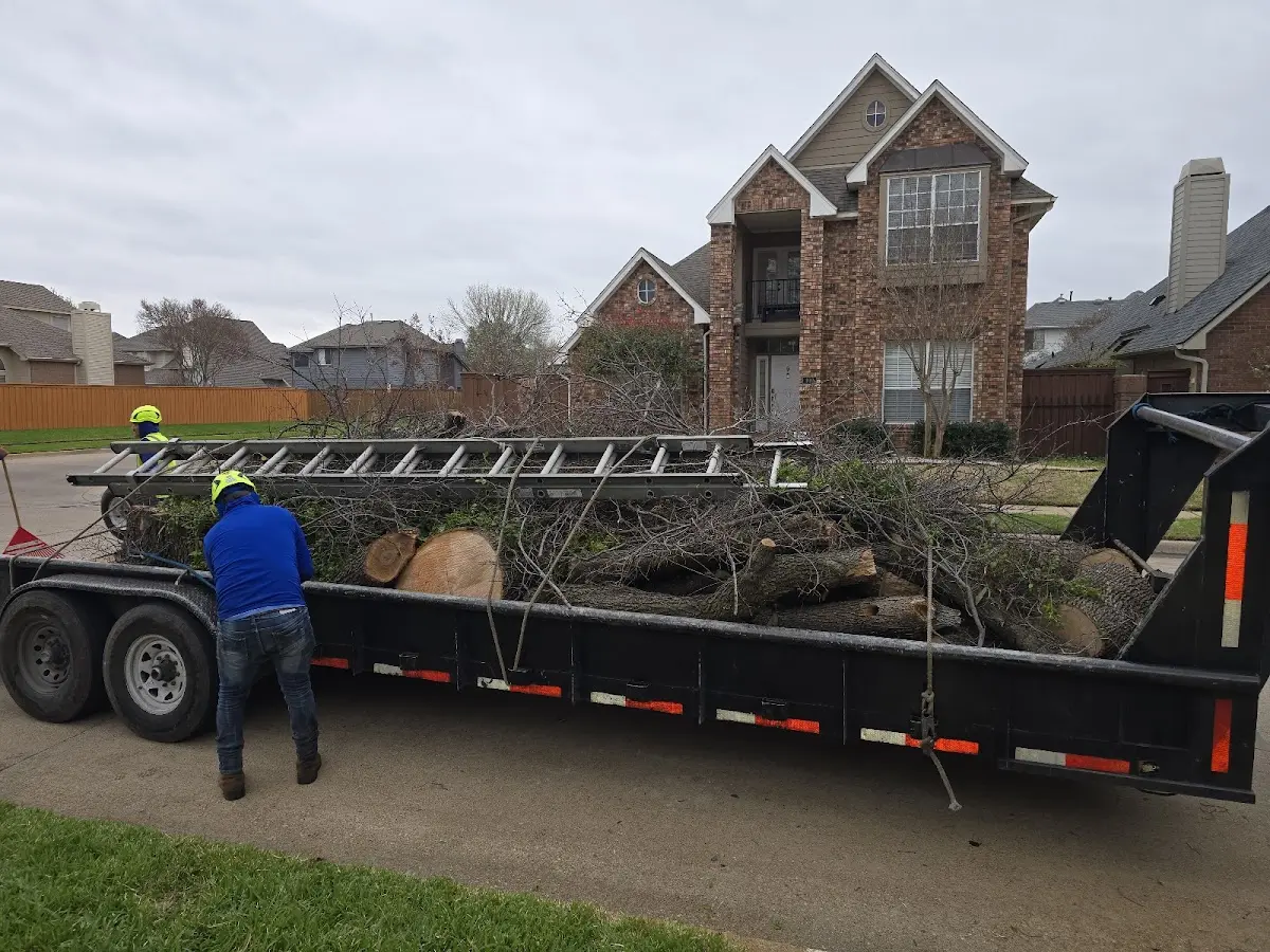 Expert Tree Pest Control with proper safety equipment in Lake Pleasant